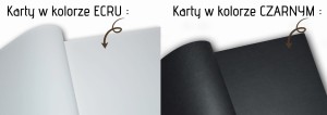 Dodatkowe KARTKI w Albumie