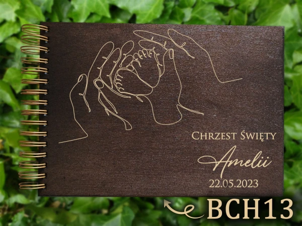 bch13.jpg