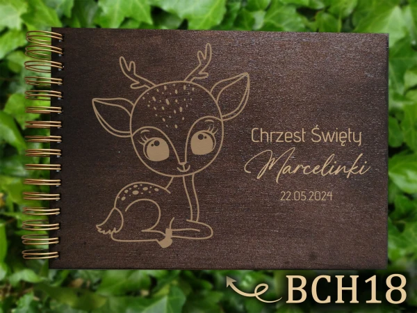 bch18a.jpg