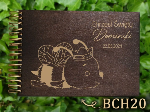 bch20.jpg