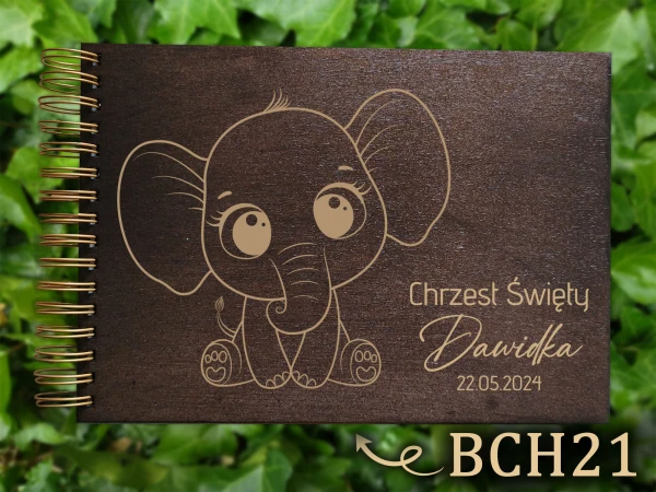 bch21.jpg