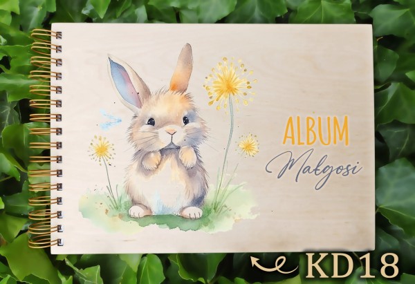 kd18.jpg